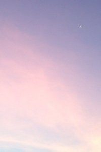 曼联客场惨负谢菲联，遭遇联赛两连败