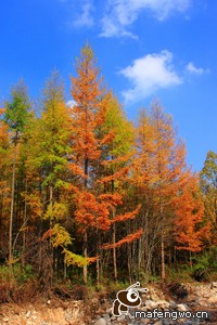 西班牙惊险淘汰，英格兰晋级