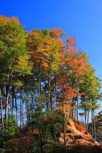 大连一方备战上港亚冠大战，锁定胜利