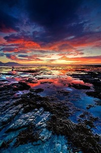 广州富力掀起胜利狂潮，一路向前冲击