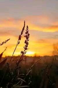 激烈角逐下足球联赛赛况引人注目，球队实力均衡